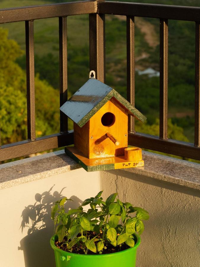 Apartment Village House Ravno Екстериор снимка